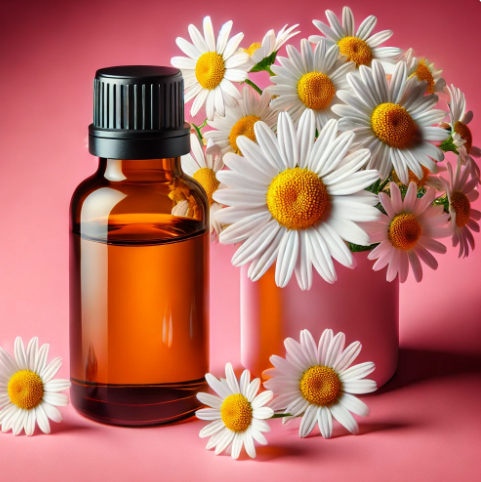 Chamomile Oil