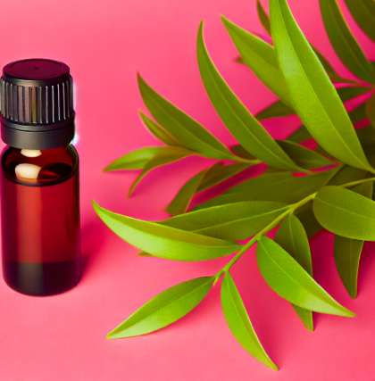 Tea Tree Oil